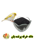 دانه خرفه پرنده بان
