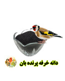 دانه خرفه پرنده بان