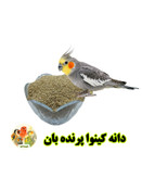 دانه کینوا پرنده بان