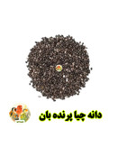دانه چیا و روش صحیح مصرف آن برای پرندگان زینتی