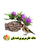 دانه خارمریم پرندهبان