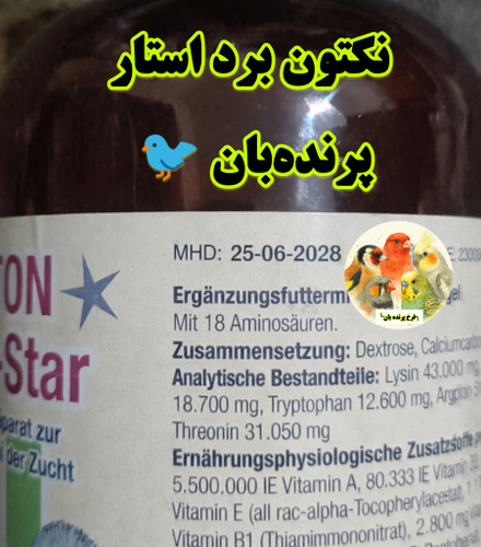 نکتون برد استار پرنده بان