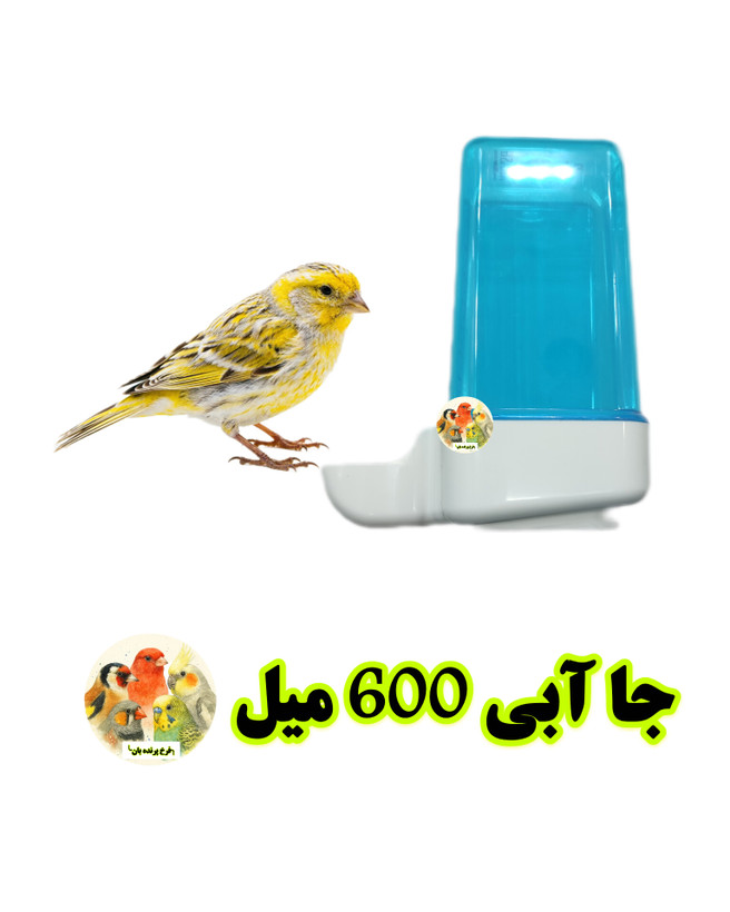 جا آبی 600 سی سی پرندگان | مناسب برای مصرف مکمل و محلولهای دارویی