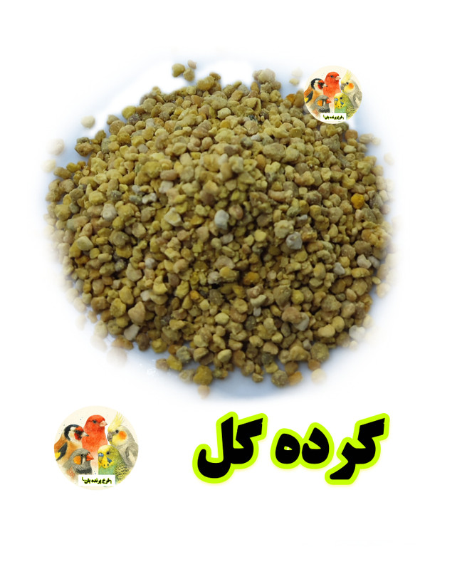 گرده گل زنبور عسل برای پرندگان؛ تقویت نطفه، انرژی و بنیه