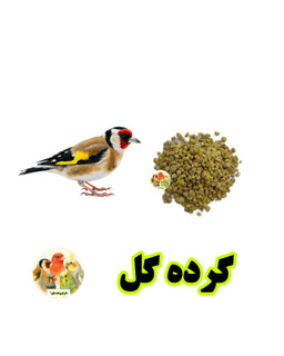 گرده گل زنبور عسل برای پرندگان؛ تقویت نطفه، انرژی و بنیه