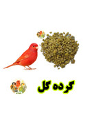 گرده گل زنبور عسل برای پرندگان؛ تقویت نطفه، انرژی و بنیه