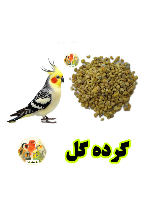 گرده گل زنبور عسل برای پرندگان؛ تقویت نطفه، انرژی و بنیه