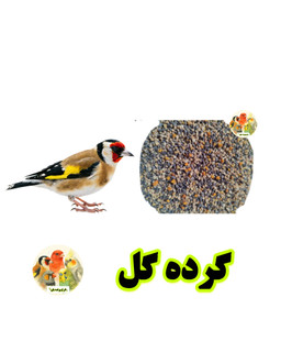 گرده گل کوهستان