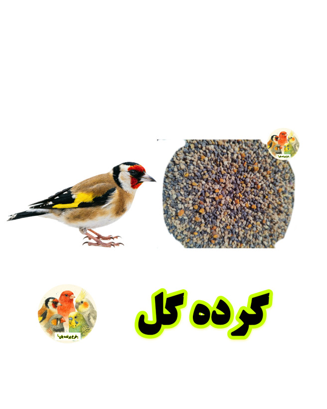 گرده گل کوهستان