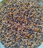 گرده گل کوهستان کرمانشاه برای پرندگان؛ تقویت نطفه، انرژی و بنیه