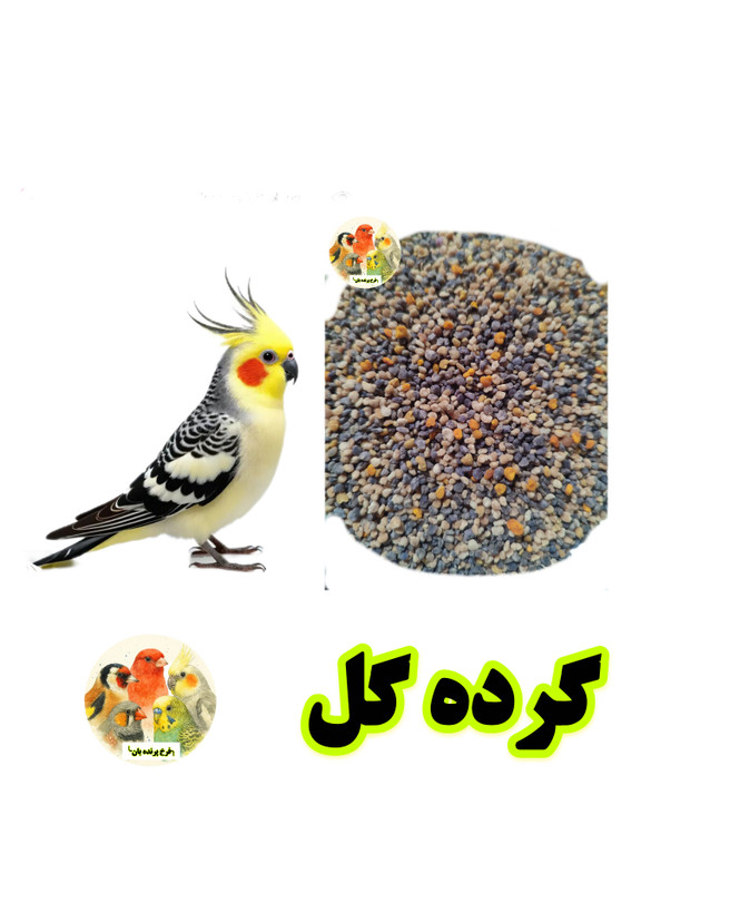 گرده گل کوهستان کرمانشاه برای پرندگان؛ تقویت نطفه، انرژی و بنیه