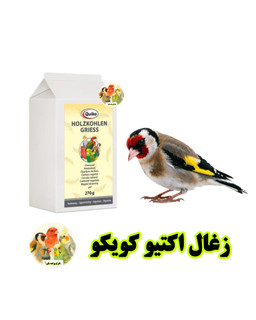 زغال اکتیو پرندگان کویکو Quiko | زغال طبیعی مخصوص پرندگان زینتی