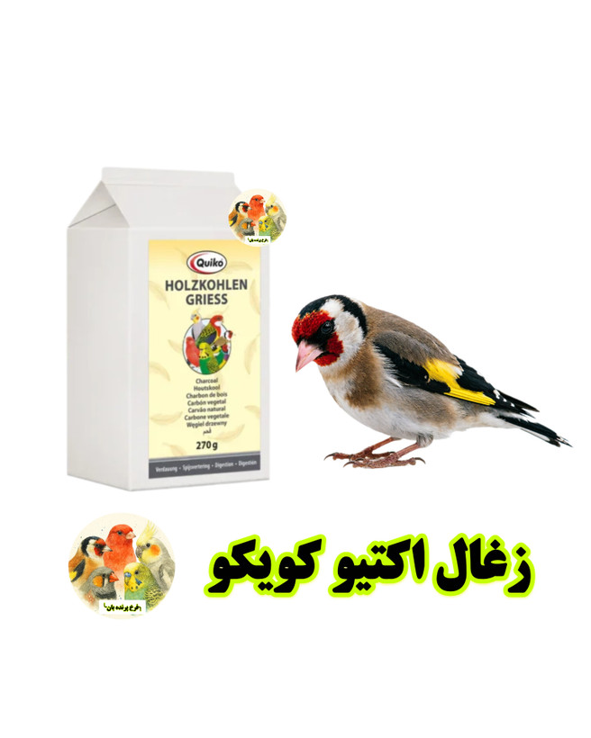 زغال اکتیو پرندگان کویکو Quiko | زغال طبیعی مخصوص پرندگان زینتی