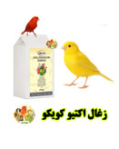 پرنده بان