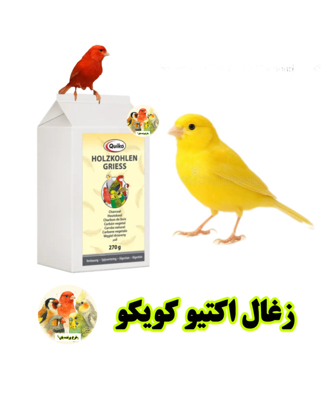 پرنده بان
