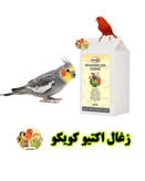 زغال اکتیو پرندگان کویکو Quiko | زغال طبیعی مخصوص پرندگان زینتی