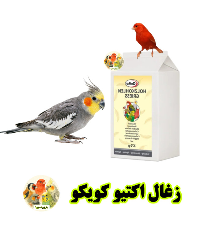 زغال اکتیو پرندگان کویکو Quiko | زغال طبیعی مخصوص پرندگان زینتی